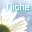 Niche/SANAGON-AYAGONl